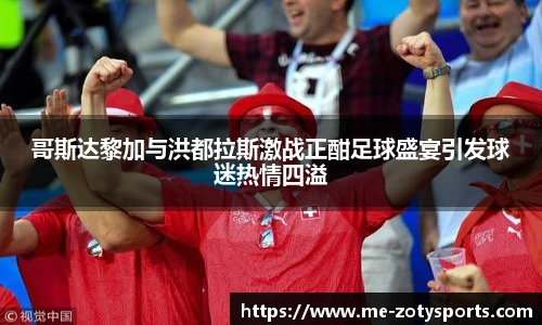 中欧体育zoty网址