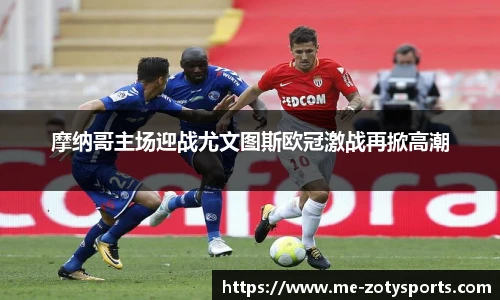 Zoty中欧体育